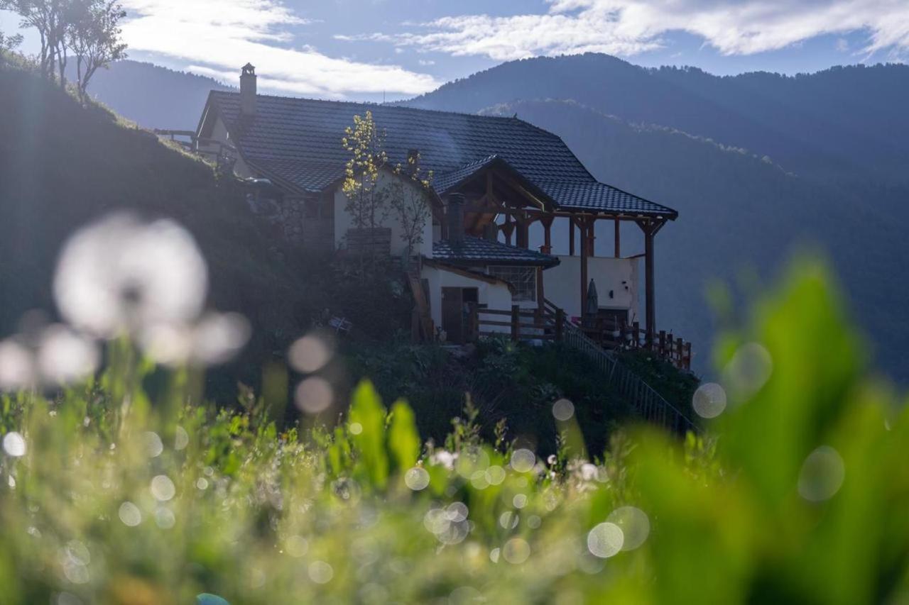Zeneli Alpin Chalet Cerem 外观 照片